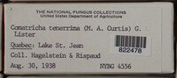 Image Associated With the Occurence